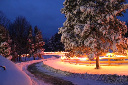 Beautiful, beautiful snowy evening.