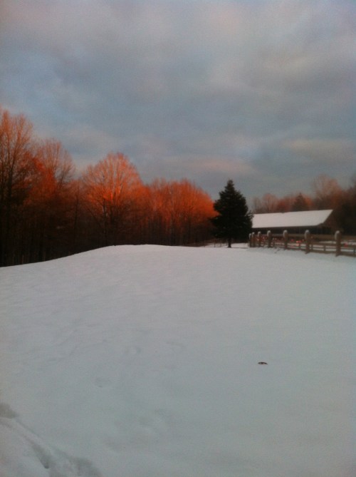 New Year's Day Sunset. A new beginning.  