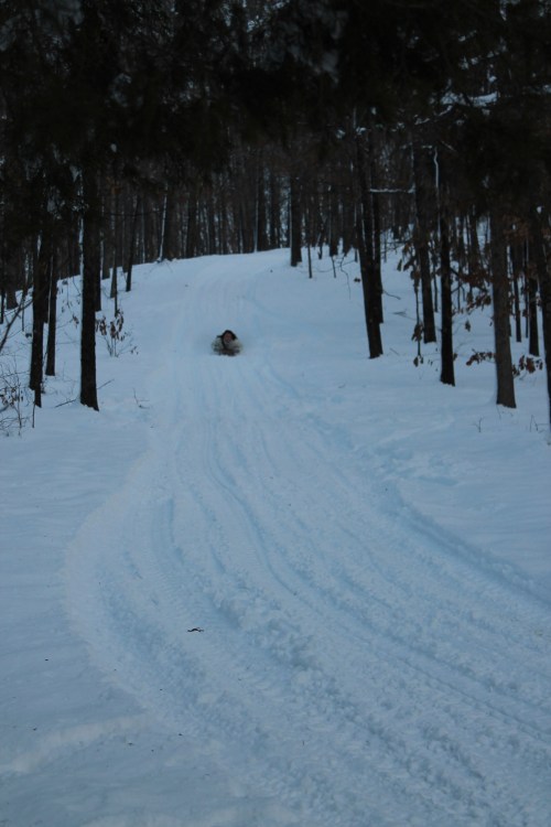 Sledding