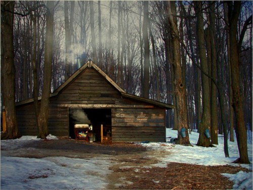 Typical sugar shack. 