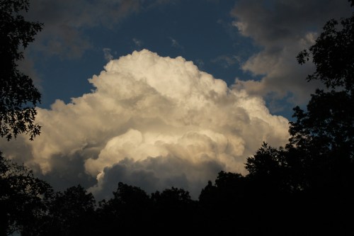 This week at dusk. Wow.